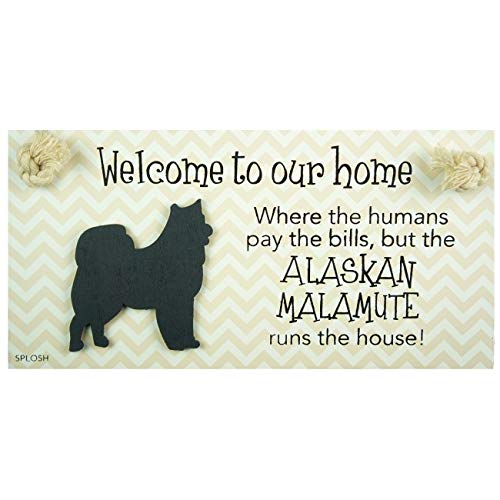 Preciosa placa de perro y gancho de plomo de perro de ALASKAN MALAMUTE, carteles divertidos, regalos de perro mamá, accesorios para perros, cosas de la casa.