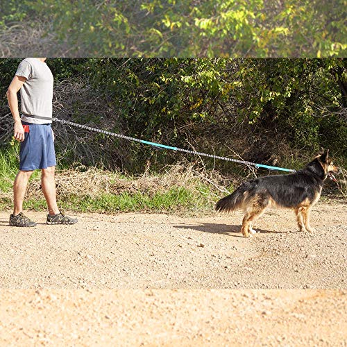 PrimeMatik - Correa Ajustable para Perros de Jogging 160-220 cm. Correa Manos Libres elástica y Reflectante con cinturón