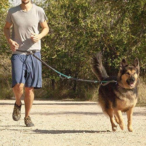 PrimeMatik - Correa Ajustable para Perros de Jogging 160-220 cm. Correa Manos Libres elástica y Reflectante con cinturón