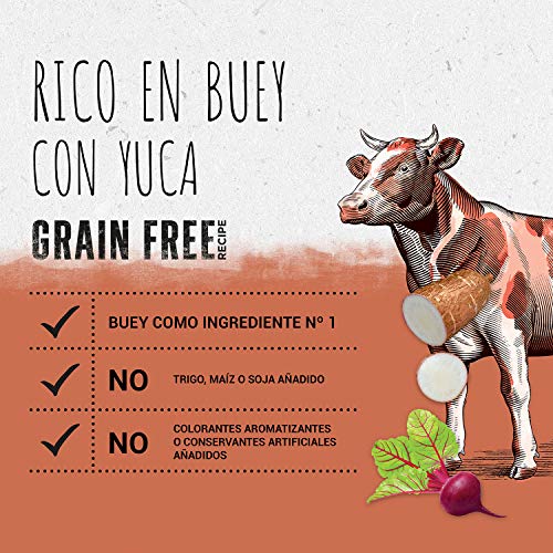 Purina Beyond Grain Free pienso Natural para Perro con Buey 6 x 1,2 Kg - 1 Sacos