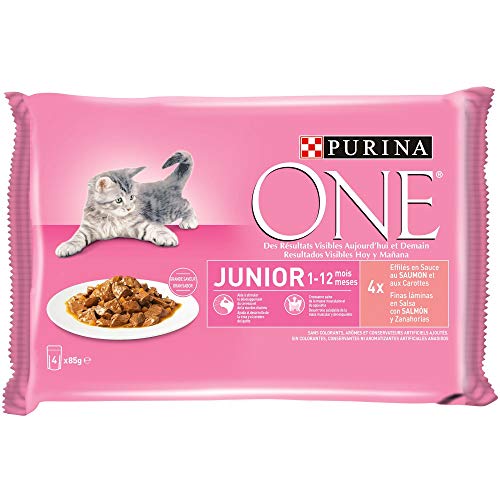 Purina ONE comida húmeda para gato, gatito, junior, gatos hasta 1 año filetes en salsa con salmón 12 x [4 x 85 g]