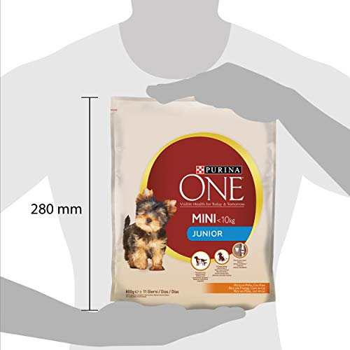 Purina ONE Mini Croquetas de Perro Junior Rico en Pollo, con arroz, para Perros de hasta 10 kg, 8 Sacos de 800 g Cada uno