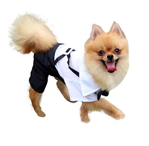 QiCheng & LYS Ropa para Perros Traje Elegante con Estilo de Corbata de moño, Camisa de Esmoquin Formal con Traje de Corbata Negra (XL)