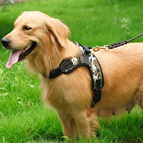 RCruning-EU Perros Pecho de Arnés Mascotas Reflectante Antitranspirante Acolchado Dog Vest Harness Ajustable Arnes Seguridad Chaleco Cabestro-Camouflage Green-L