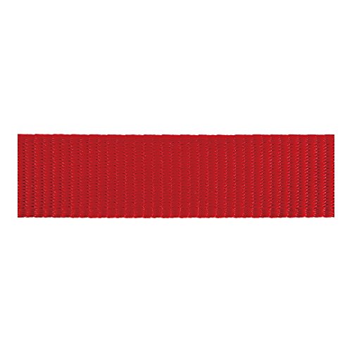 Red Dingo GmbH 9330725006041 Collar Perro, S, Rojo