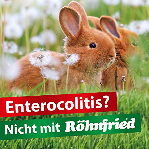 Röhnfried - Complemento alimenticio para Bienestar digestivo (250 ml) para roedores, Aves de Corral y Animales pequeños, Apoyo a la digestión y cría más Sencilla, con orégano y liquen