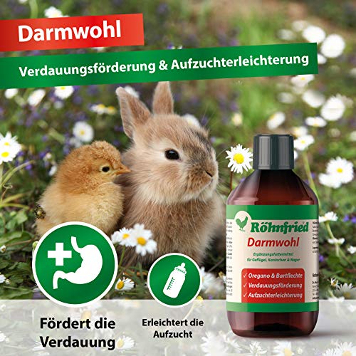 Röhnfried - Complemento alimenticio para Bienestar digestivo (250 ml) para roedores, Aves de Corral y Animales pequeños, Apoyo a la digestión y cría más Sencilla, con orégano y liquen