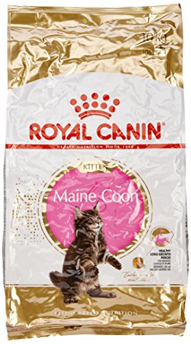 Royal Canin Comida para gatos Kitten Maine Coon 10 Kg