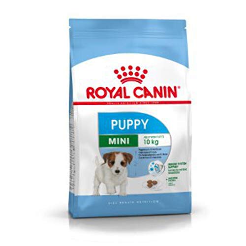 Royal canin mini junior pienso perros raza pequeña