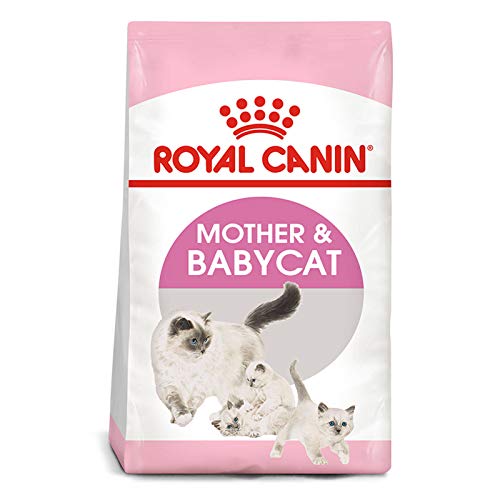 Royal Canin - Mother Babycat, 10KG