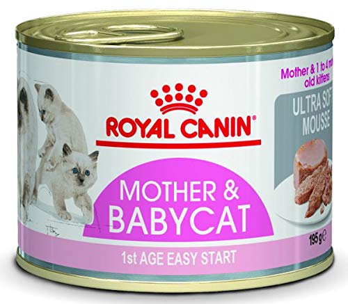 Royal Canin Wet Mother & babycat Mousse kattenvoer 195 GR