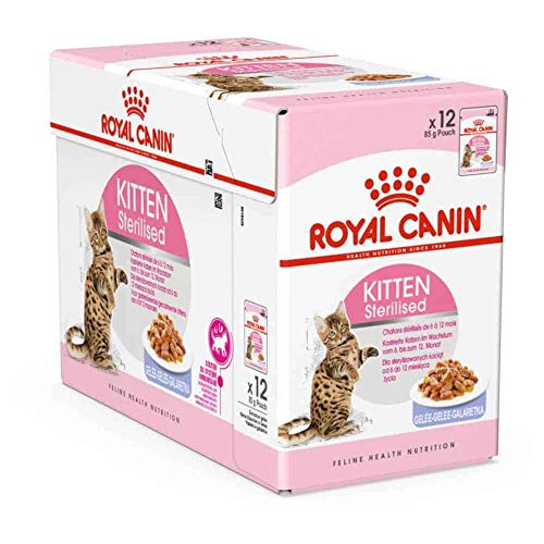 Royal Feline Kitten Sterilised Pouch Gelatina 85Gr 80 g