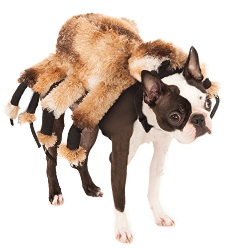 Rubie'S - Disfraz de araña Gigante, para Mascotas, Perro, Producto Oficial, Ideal para Halloween