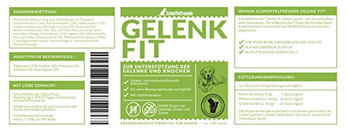 Schnüffelfreunde Gelenk Fit I para Articulaciones del Perro - Complemento Alimenticio para Perros para Ayudar a Las Articulaciones y los Huesos - con MSM, Garra del Diablo, Cúrcuma