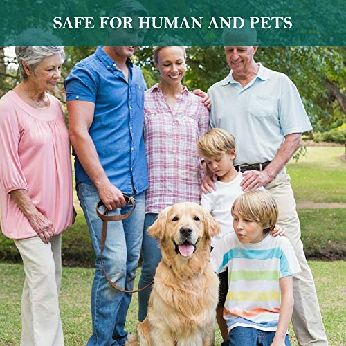 SEGMINISMART Collares Antiparasitario para Perros,Prevención de Pulgas y Garrapatas,contra Pulgas Garrapatas y Mosquitos, Ajustable a Prueba de Agua