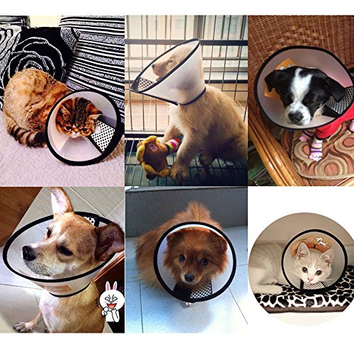 SenPuSi Collar para mascotas de plástico, cuello elisabetano, cuello protector de plástico para gatos, perros pequeños y conejos