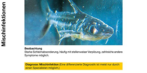Sera (02170 omnipur S - Arzneimittel mit Breitbandwirkung gegen Die häufigsten Zierfischkrankheiten im Süßwasser Aquarium