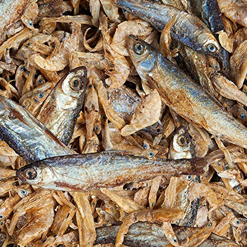 Sera 32296 Raffy Royal Sabrosos bocados con anchoas secas de pesca (50%) y camarones (50%) para Tortuga