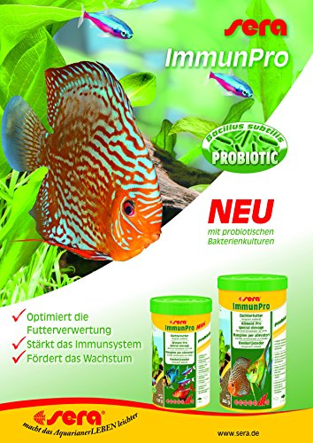 Sera ImmunPro Mini alimentador para peces o peces jóvenes y para todos los peces pequeños de hasta 4 cm con probióticos en el acuario para un crecimiento rápido, fuerte desarrollo y colores brillantes