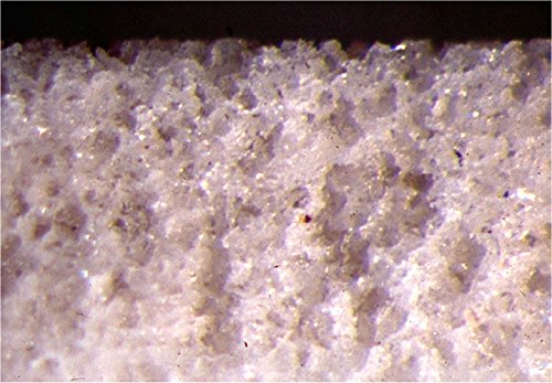 Sera Medio filtrante biológico autolimpiante de Alto Rendimiento en Forma de Anillo para el Acuario Professional siporax (15 mm)