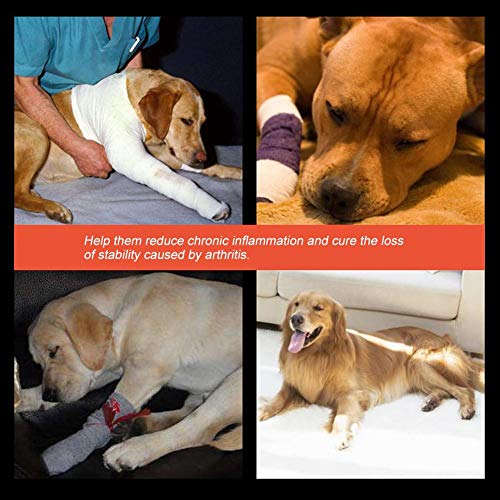 Smandy Almohadillas para la Rodilla del Perro, 1 par de Patas Delanteras del Perro Brace Rodillas Mascota Lesión quirúrgica Vendaje Wrap Heal Protector de heridas(Negro, m)