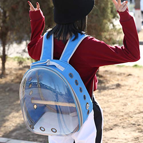 Space Capsule Mochila transparente para transportar loros de mascotas, bolsa de viaje transpirable de 360 ° Mochila, bolsos azul claro