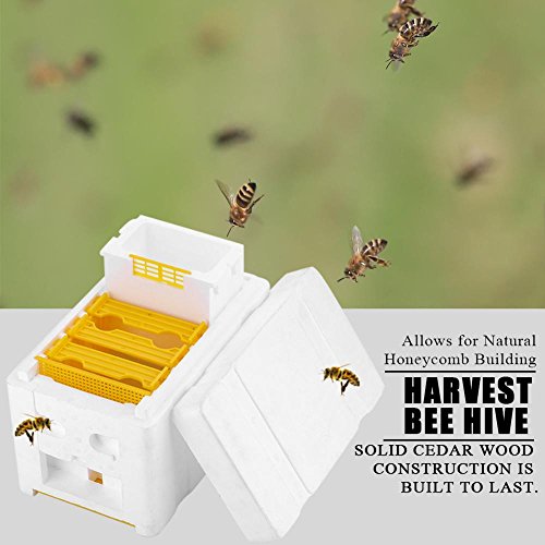 stronerliou Harvest Bee Hive Apicultura King Box Caja de polinización Herramienta de Apicultura