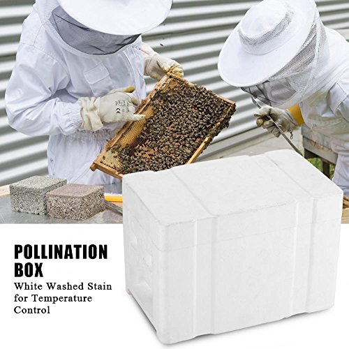stronerliou Harvest Bee Hive Apicultura King Box Caja de polinización Herramienta de Apicultura