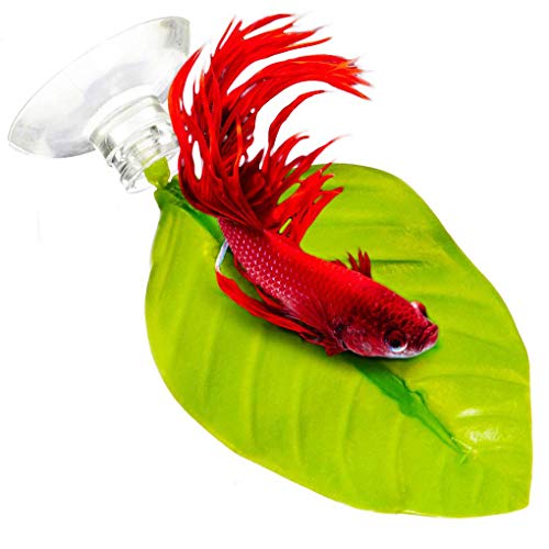 SunGrow Hamacas de hojas para peces Betta, 6 pulgadas, punto de descanso ligero y realista, cama de plástico verde oscuro, cómodo, fácil de acoplar, ventosas incluidas, paquete de 3