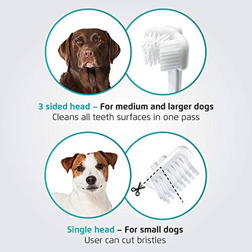 Techmira Cleany - Cepillo de Dientes para Perros