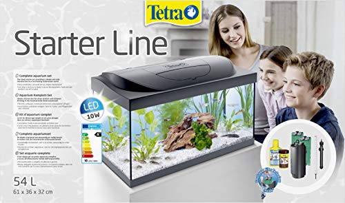 Tetra Starter Line LED Acuario 54 L - Juego completo que incluye iluminación LED, un acuario estable para principiantes con tecnología, alimentos y productos de cuidado, negro