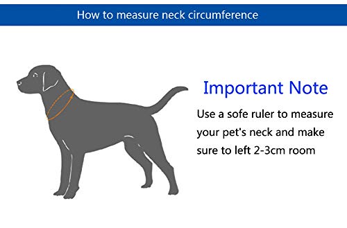 Tineer Collar de Perro de Cuero Collares Ajustables para Mascotas Cuello pequeño Greyhound Whippets Perros Cuero Collar Personalizado para Mascotas