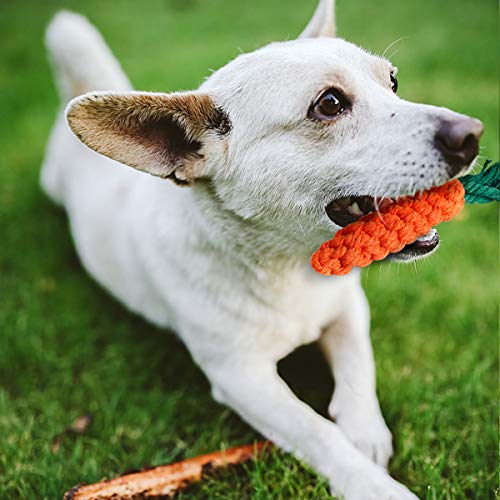 Toozey Juguetes para Perros Pequeños/Cachorros 7pcs - Juguete masticable de Cuerda de dentición para Cachorros y Juguete de Chirriador Peluche para Perros con Bolsa de lavandería