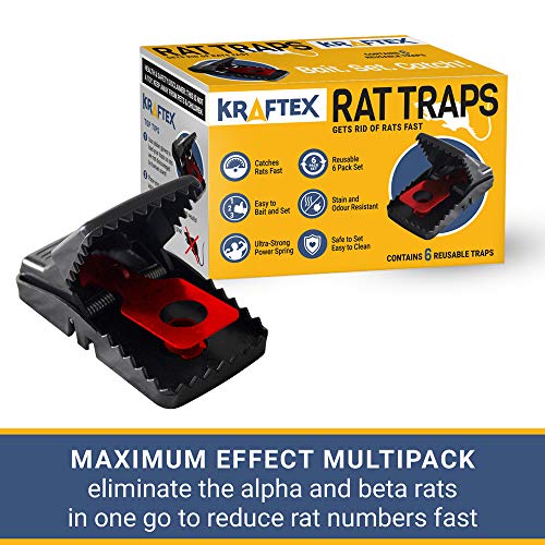 Trampas para Ratas Kraftex - Atrape Roedores Rápidamente [Paquete de 6] [Veloz y Efectivo] Paquete de Trampas [Fácil de Usar, Cero contacto con Ratas] Protege Niños, Mascotas y Ganado Contra