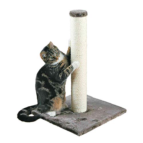 TRIXIE Poste Rascador Para Gatos - Arbol Para Gatos Sisal Natural Juguetes Gato