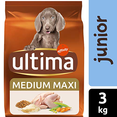 ultima Pienso para Perro Medium - Maxi Junior con Pollo, Pack de 3 x 3 kg - Total 9 kg