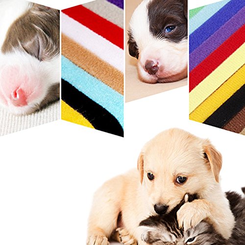 Whaline - Collares para cachorros de doble cara ajustables con identificación, bandas suaves para recién nacidos, mascotas, perros, gatos (collares con campanas)