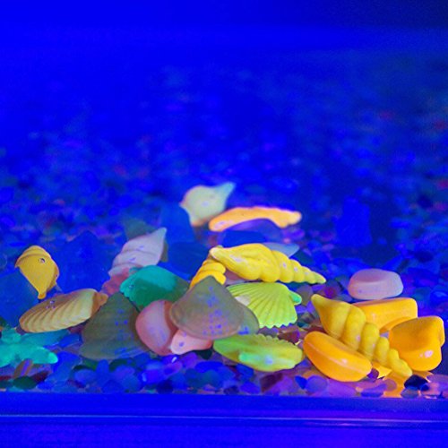 WINOMO 60pcs guijarros acuario piedras decorativas piedras coloridas de Cáscara concha para acuario pecera (Color mezclado)