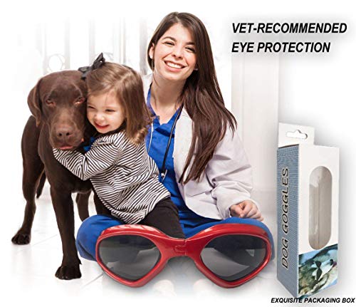 XUNKE Gafas de Sol para Perros, Perro Gafas para Perros pequeños y medianos Impermeable Plegable Protector Ocular Protección UV Antivaho (Red)