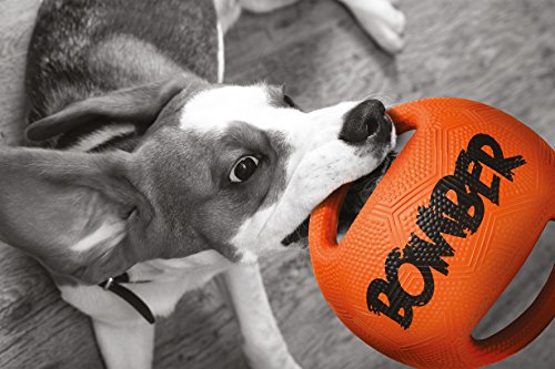 Zeus Bomber Ball para Perro