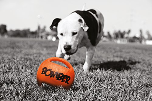 Zeus Bomber Ball para Perro