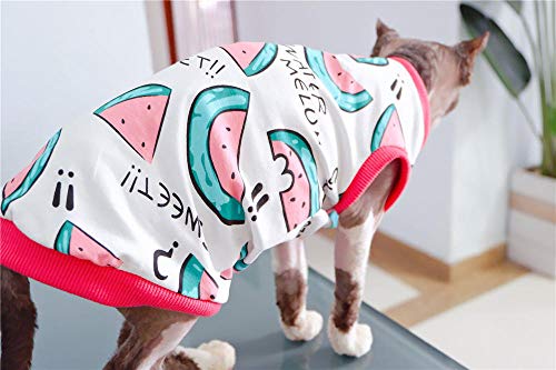 ZHIHAN Camiseta Delgada de Verano con Chaleco esfinge Anti-desprendimiento de Gato sin Pelo, Color 1, L