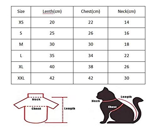 ZHIHAN Ropa de Gato Sphinx Camiseta de Color Gato sin Pelo Protector Solar de Verano Ropa Transpirable, Color 1, XL