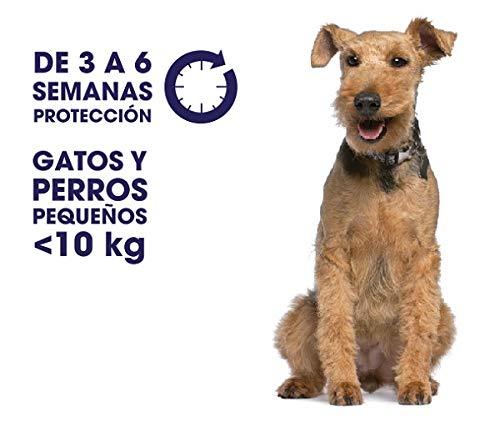 Zotal Parasital Pipetas Antiparasitarias para Perros Medianos de 10 a 25 kg