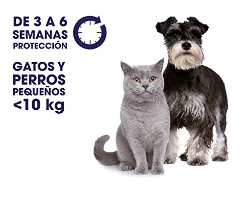Zotal Parasital Pipetas Perros Pequeños y Gatos hasta 10 kg