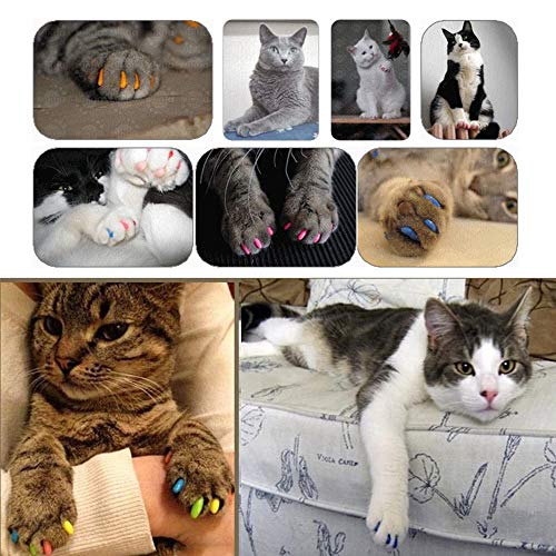 ZZM Mascotas Cat Tapas de Uñas Suave Perro de Silicona Gatito Paw Garra Control de Uñas Tapas Cubiertas Protector con 5 Pegamento Adhesivo 100 unids (XS)