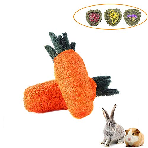 2 Paquetes de Juguetes Bunny Carrot + 3 Piezas de Pasteles de Hierba, pequeños Juguetes para Masticar Mascotas, Limpieza de Dientes para Masticar Varilla Molar