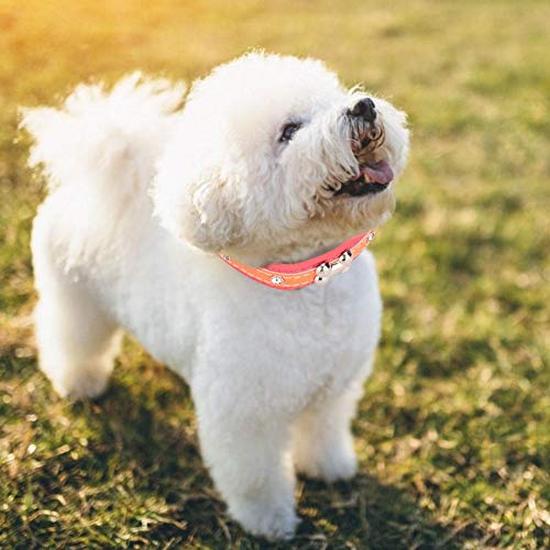 2 Unids Collar Básico para Perro Collar de Cuello de Cuero para Mascotas Ajustable Collar de Perro de Hueso Lindo Disfraces de Fiesta para Mascotas Accesorios con Raya Reflectante