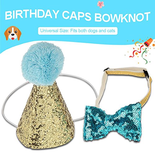 2 Unids Mascota Gato Perro de Cumpleaños Sombrero Sombreros Gorros Bowknot Traje de Fiesta Encantos Accesorios de Aseo Paquete (Azul)