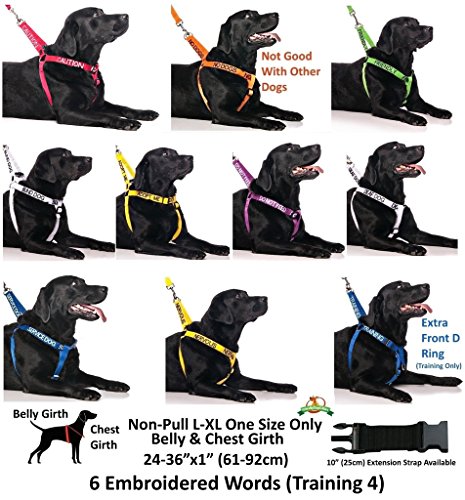 ADOPT ME (I Need A New Home) - Arnés para perro L-XL con código de color amarillo que evita accidentes por advertencia a otros de su perro por adelantado